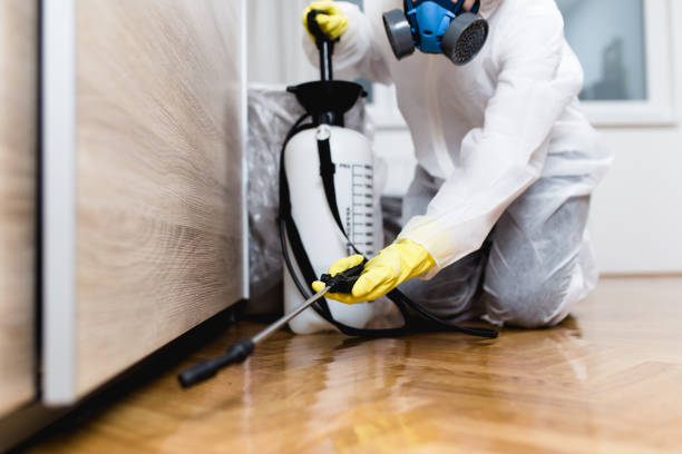 Plentywood, MT Pest Control Company