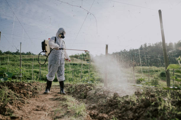 Flea Control Services in Plentywood, MT