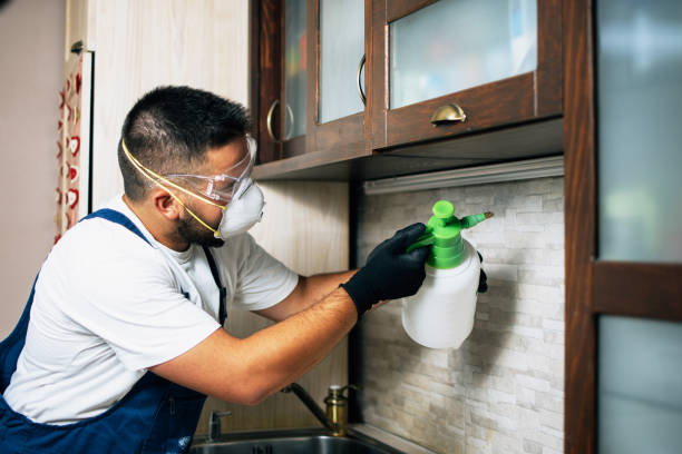 Best Best Pest Control Companies  in Plentywood, MT