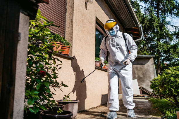 Best Pest Control for Homes  in Plentywood, MT