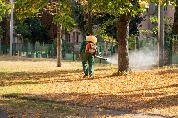 Best Residential Pest Control  in Plentywood, MT