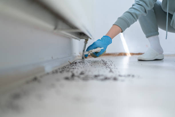 Best Best Pest Control Companies  in Plentywood, MT