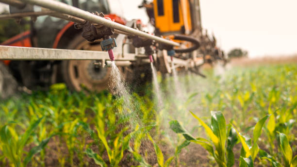 Best Pest Control for Homes  in Plentywood, MT